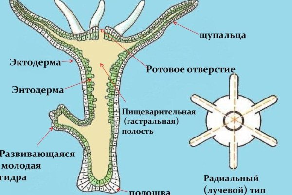 Kraken 16 at ссылка