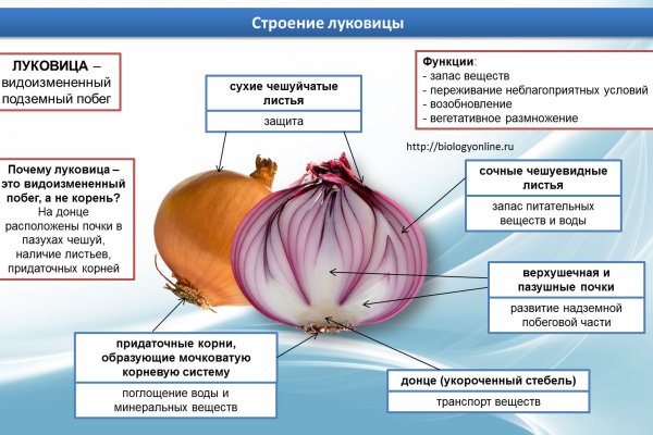 Ссылка на кракен в тор на сегодня