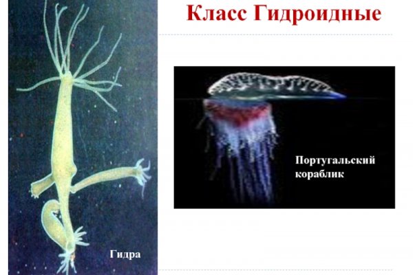 Как пополнить баланс на кракене