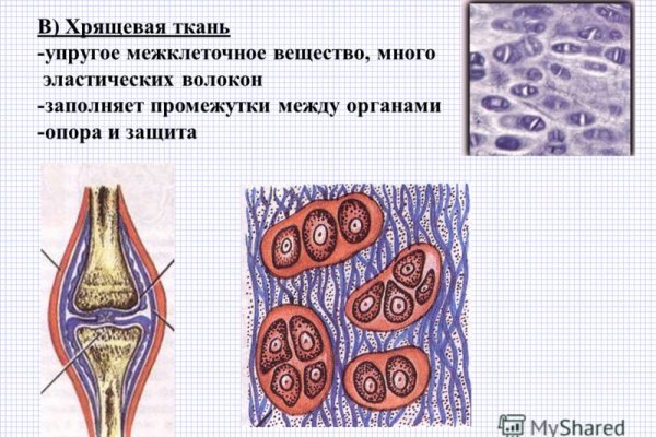 Кракен гидра даркнет