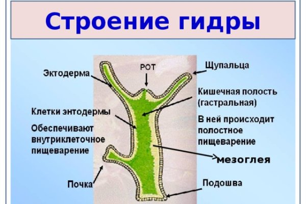 Как восстановить кракен