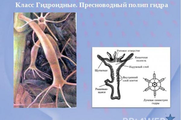 Кракен площадка даркнет