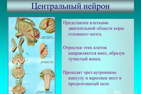 Кракен это что за сайт